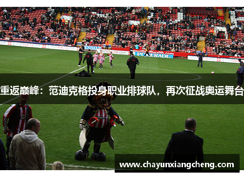 重返巅峰：范迪克格投身职业排球队，再次征战奥运舞台